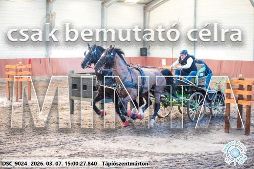Mintakép 20260307-1276