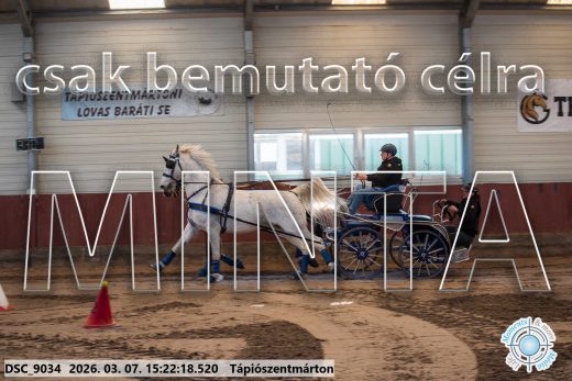 20260307-152218-DSC_9034.jpg