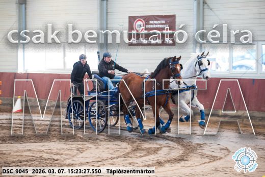 Mintakép 20260307-1291