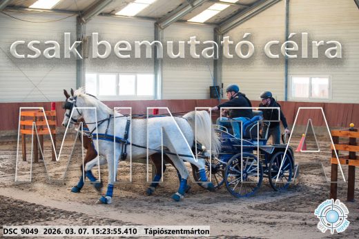 Mintakép 20260307-1294