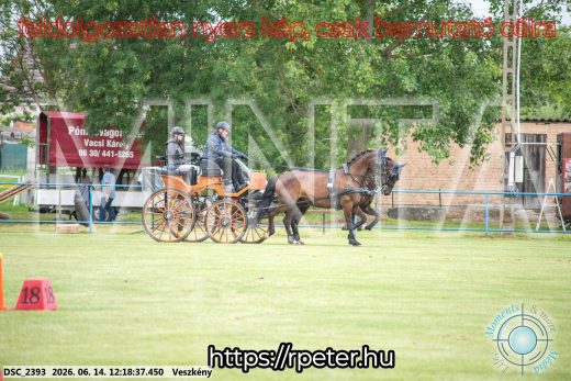 Mintakép 20260614-220