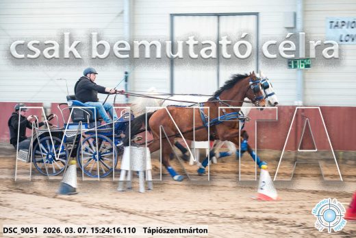 Mintakép 20260307-1296