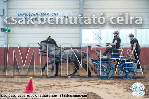 Mintakép 20260307-1301