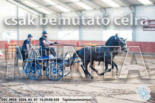 Mintakép 20260307-1303