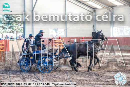 Mintakép 20260307-1305