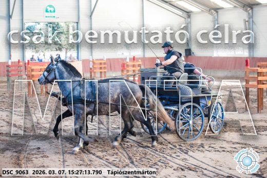 Mintakép 20260307-1306