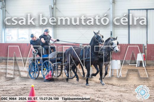 Mintakép 20260307-1307
