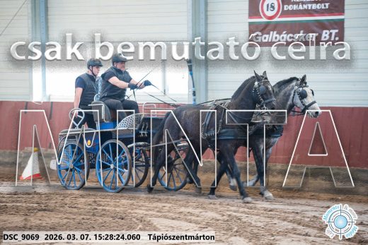 Mintakép 20260307-1311