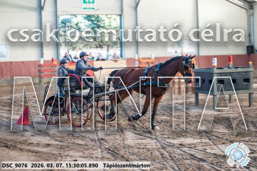 Mintakép 20260307-1318