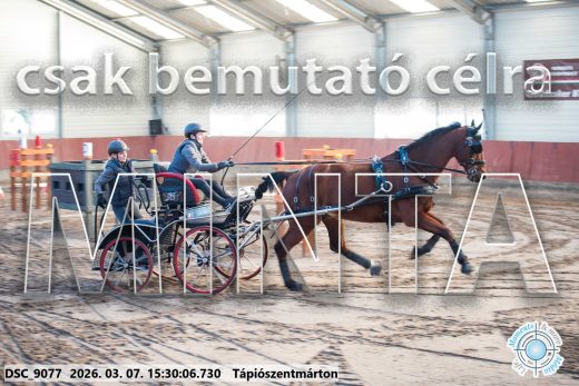 Mintakép 20260307-1319