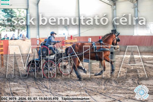 Mintakép 20260307-1321