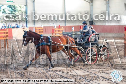 Mintakép 20260307-1322