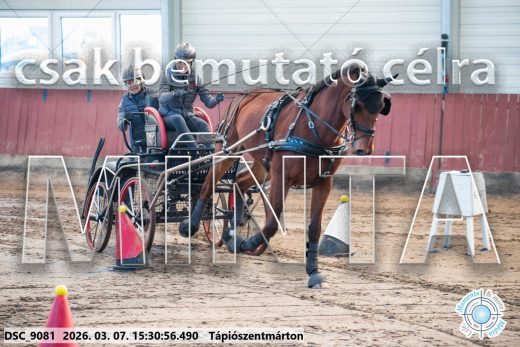 Mintakép 20260307-1323