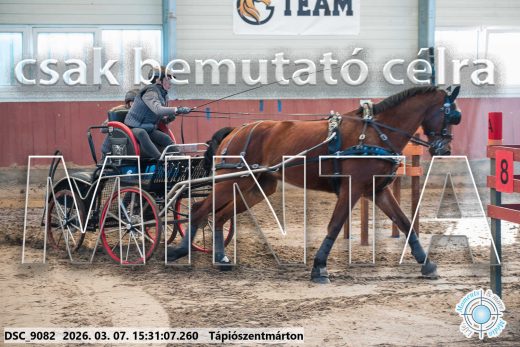 Mintakép 20260307-1324