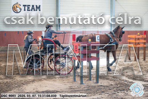 Mintakép 20260307-1325