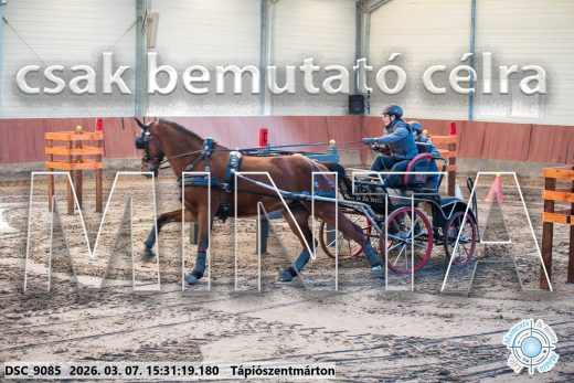 Mintakép 20260307-1327