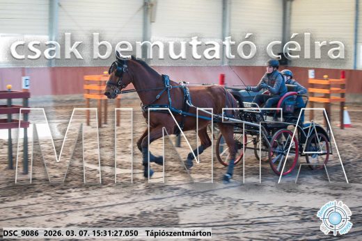 Mintakép 20260307-1328