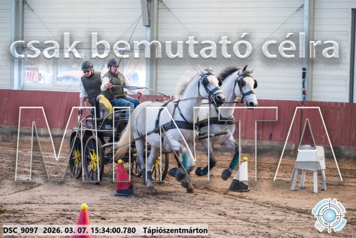 Mintakép 20260307-1336