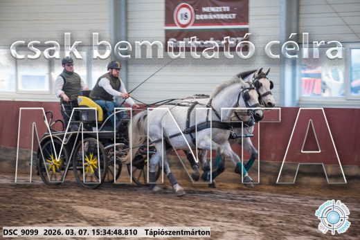 Mintakép 20260307-1337