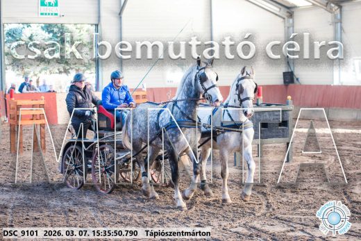 Mintakép 20260307-1338
