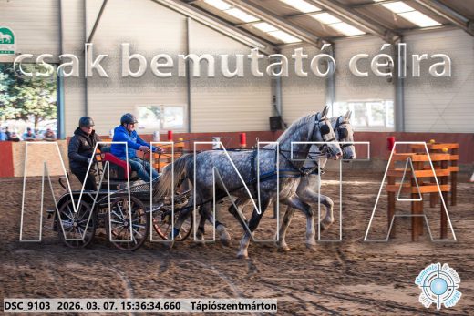 Mintakép 20260307-1340
