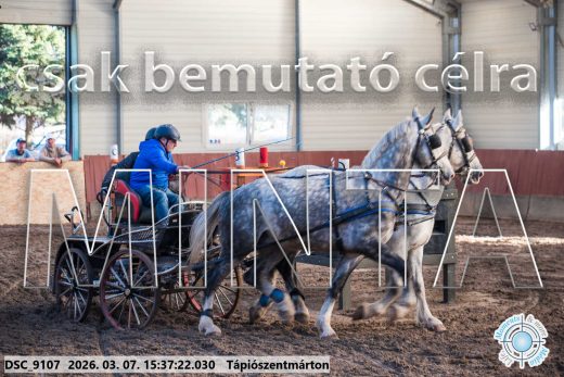Mintakép 20260307-1343