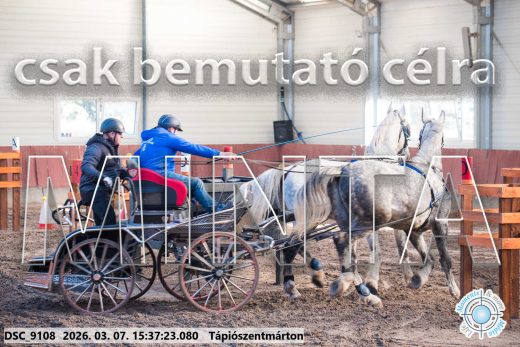 Mintakép 20260307-1344