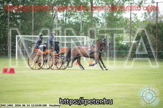 Mintakép 20260614-225