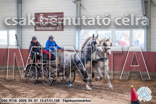 Mintakép 20260307-1345
