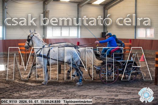 Mintakép 20260307-1347
