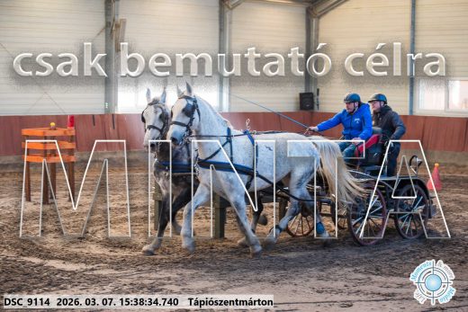 Mintakép 20260307-1348