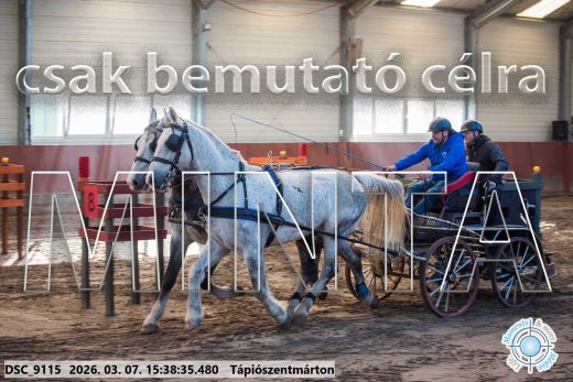 Mintakép 20260307-1349