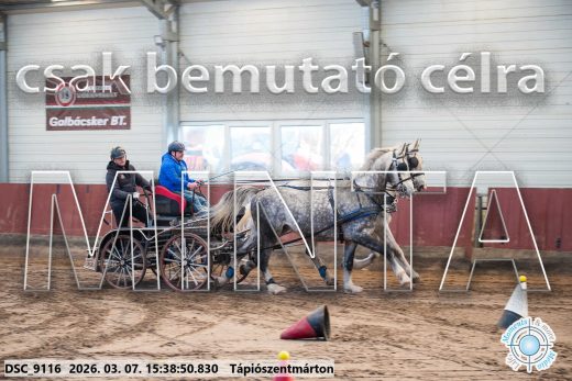 Mintakép 20260307-1350