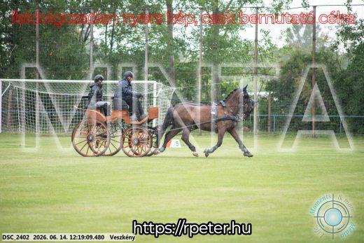 Mintakép 20260614-226