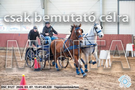 Mintakép 20260307-1358