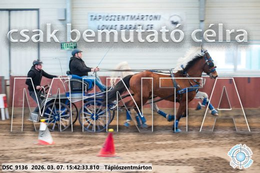 Mintakép 20260307-1361