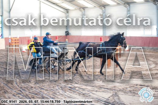 Mintakép 20260307-1366