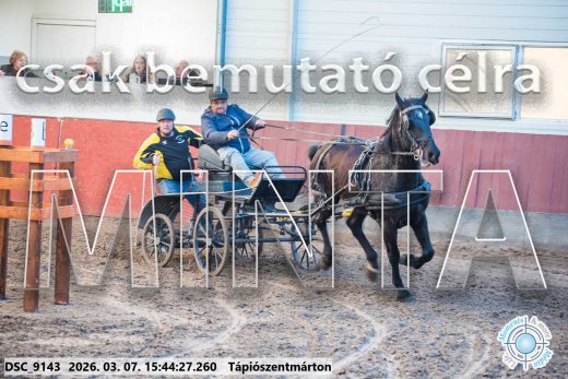 Mintakép 20260307-1367