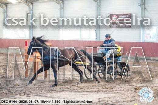 Mintakép 20260307-1368