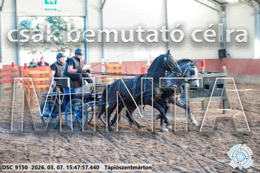 20260307-154757-DSC_9150.jpg