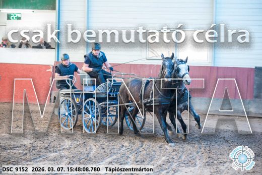 Mintakép 20260307-1375