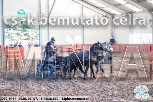 Mintakép 20260307-1377