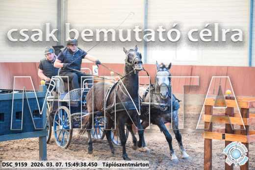 Mintakép 20260307-1380