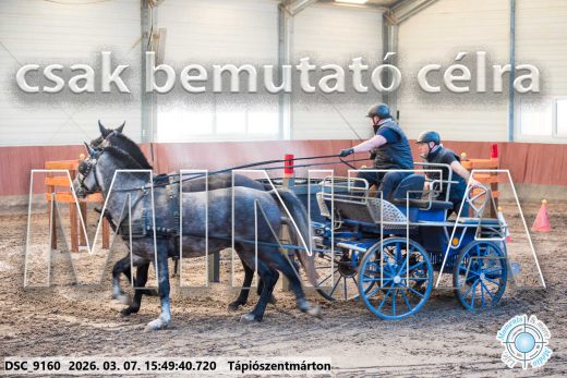Mintakép 20260307-1381