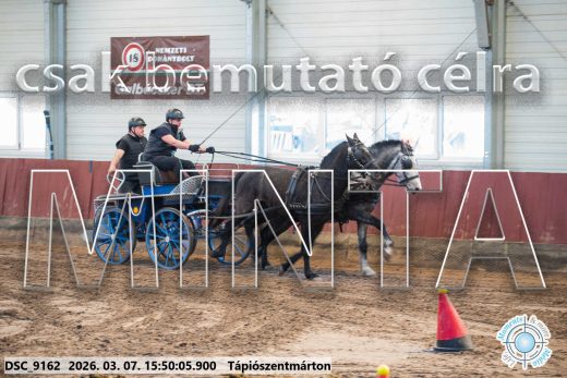 Mintakép 20260307-1383