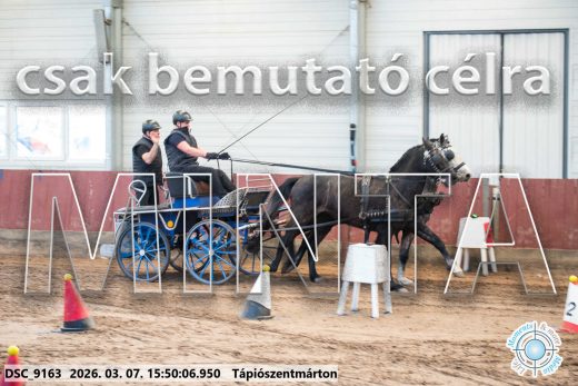 Mintakép 20260307-1384