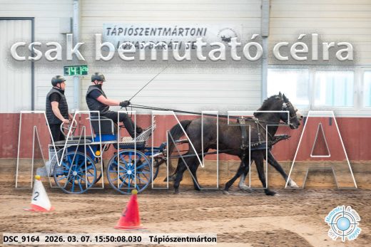 Mintakép 20260307-1385