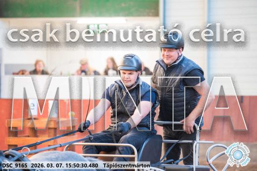 Mintakép 20260307-1386
