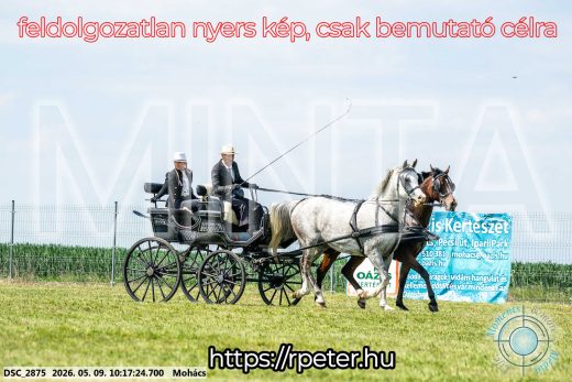 Mintakép 20260509-5