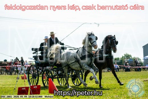 Mintakép 20260509-9